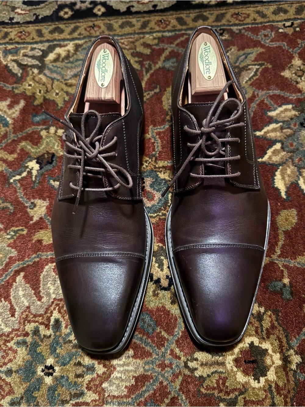 Magnanni Dark Brown Cap-Toe Derby Shoes